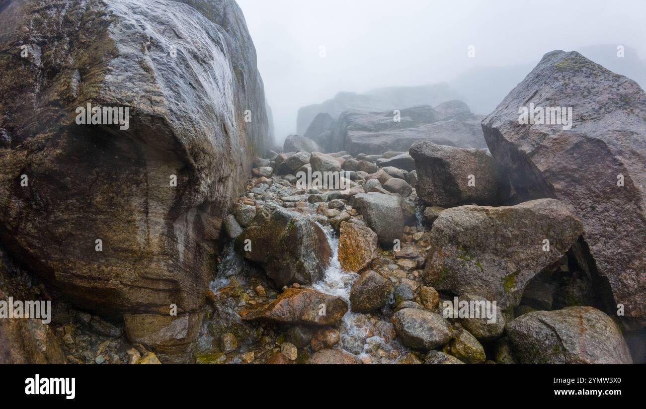 Small stream flowing through hi-res stock photography and images - Alamy