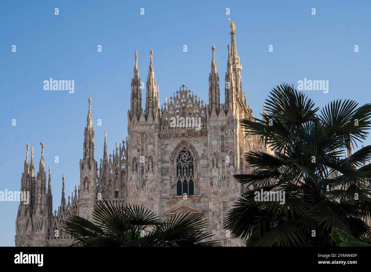 Close-up of the Cathedral of Milan, or Duomo, with details of the luxury facade with marble statues and reliefs trough palm trees. Stock Photo