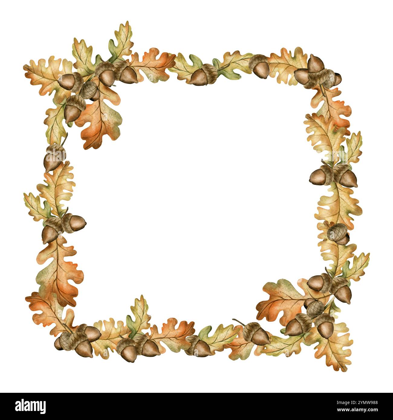 Orange oak leaves on branch Cut Out Stock Images & Pictures - Alamy