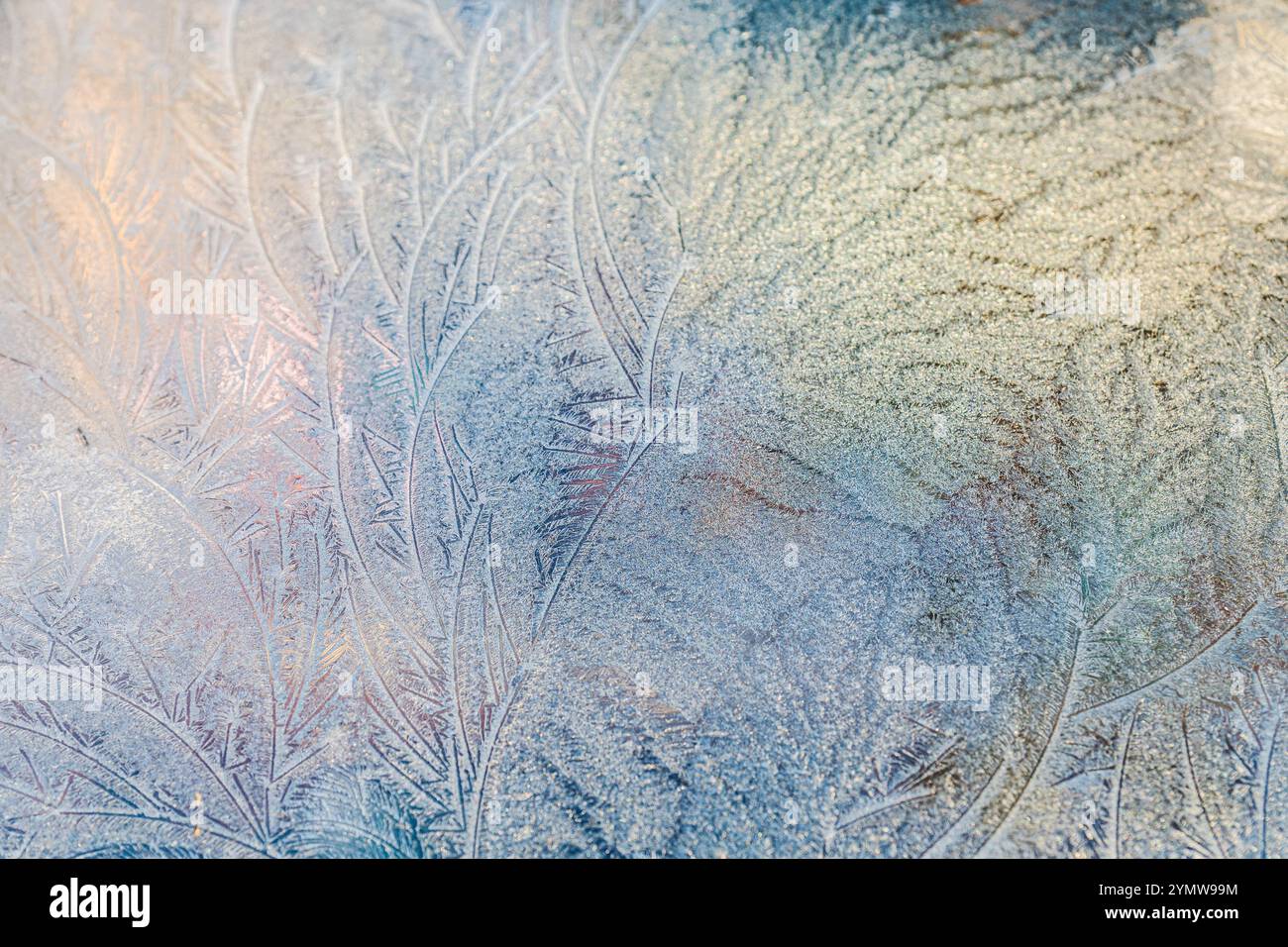 Frost patterns on glass Stock Photo