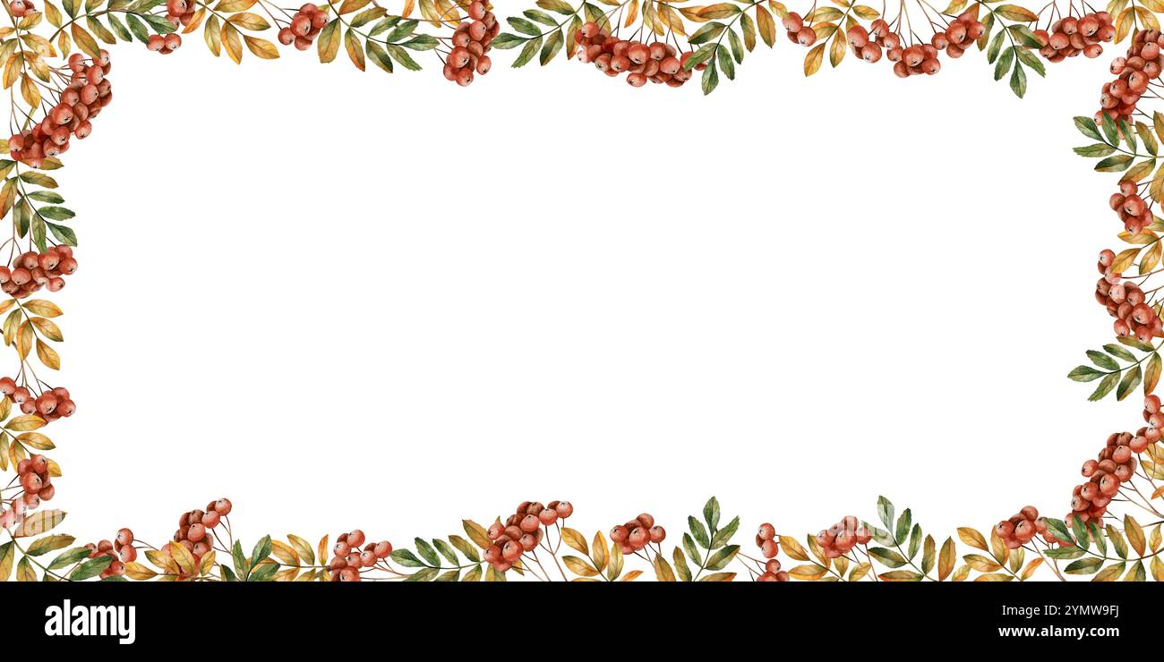 Rowan branches frame with ripe red berries and leaves. Autumn foliage ...