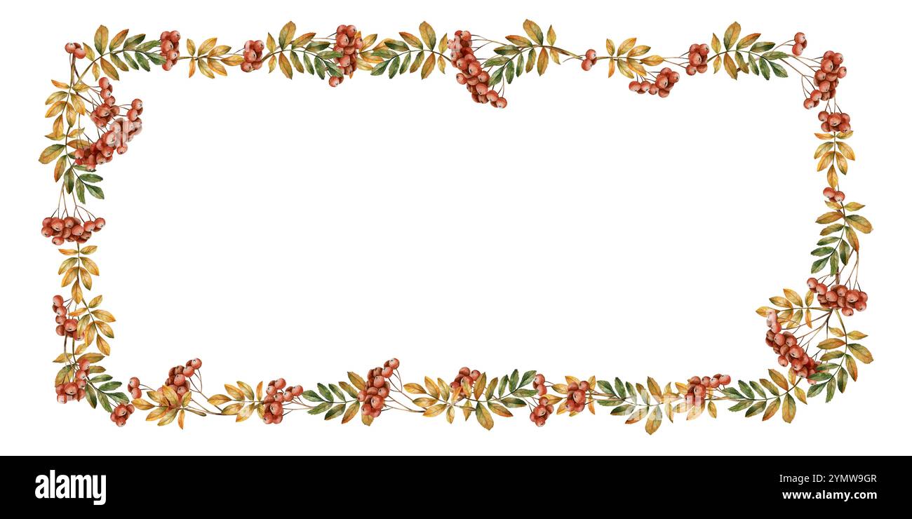 Rowan branches frame with ripe red berries and leaves. Autumn foliage ...
