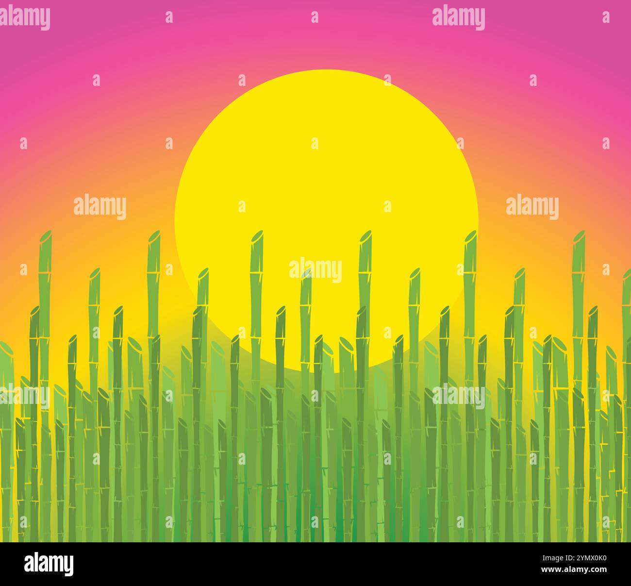 Minimalist illustration featuring a dense bamboo forest growing under a yellow sun in a serene natural setting Stock Vector