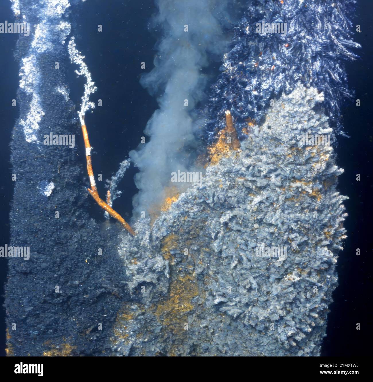 Hydrothermal vents in pacific ocean deep sea exploration 2025. Hydrothermal vents are fissures on the seabed from which geothermally heated water Stock Photo