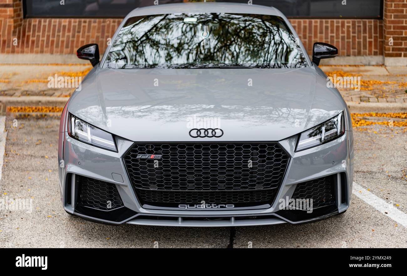 Used Audi Q8 for Sale Near Me - CARFAX, image size:1300x882