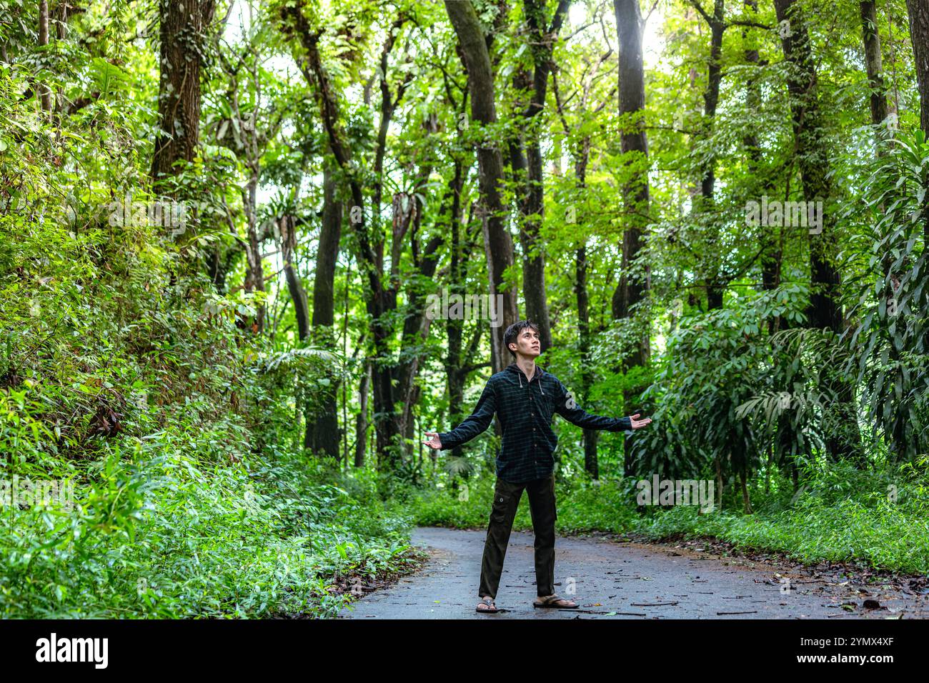 Young man standing in lush forest hi-res stock photography and images ...