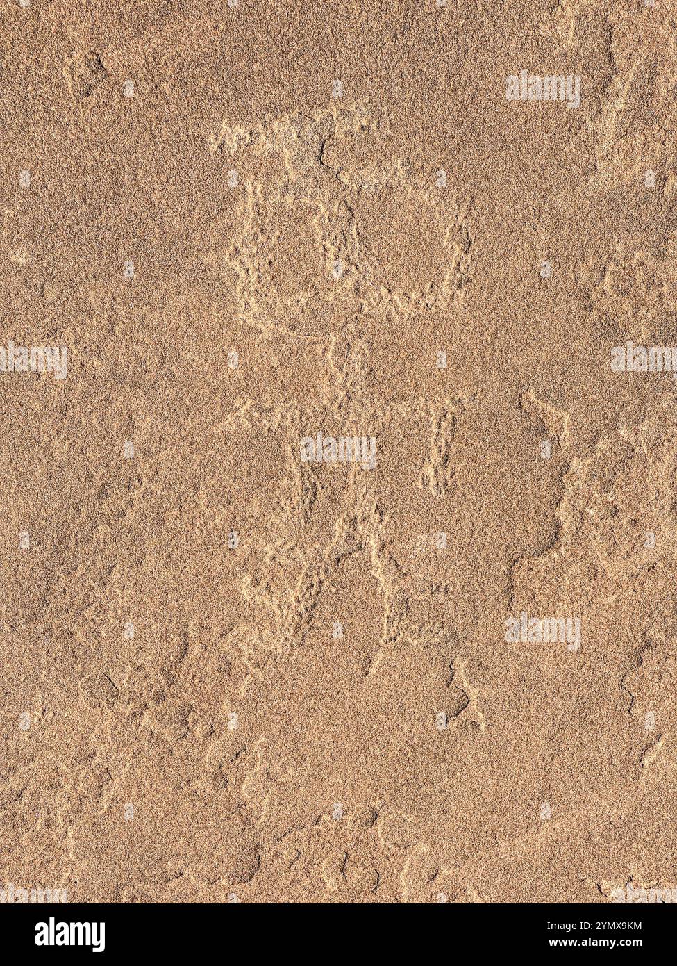 The Map at Rock Art Ranch, Winslow, Arizona, USA - Smartphone Captured Stock Image