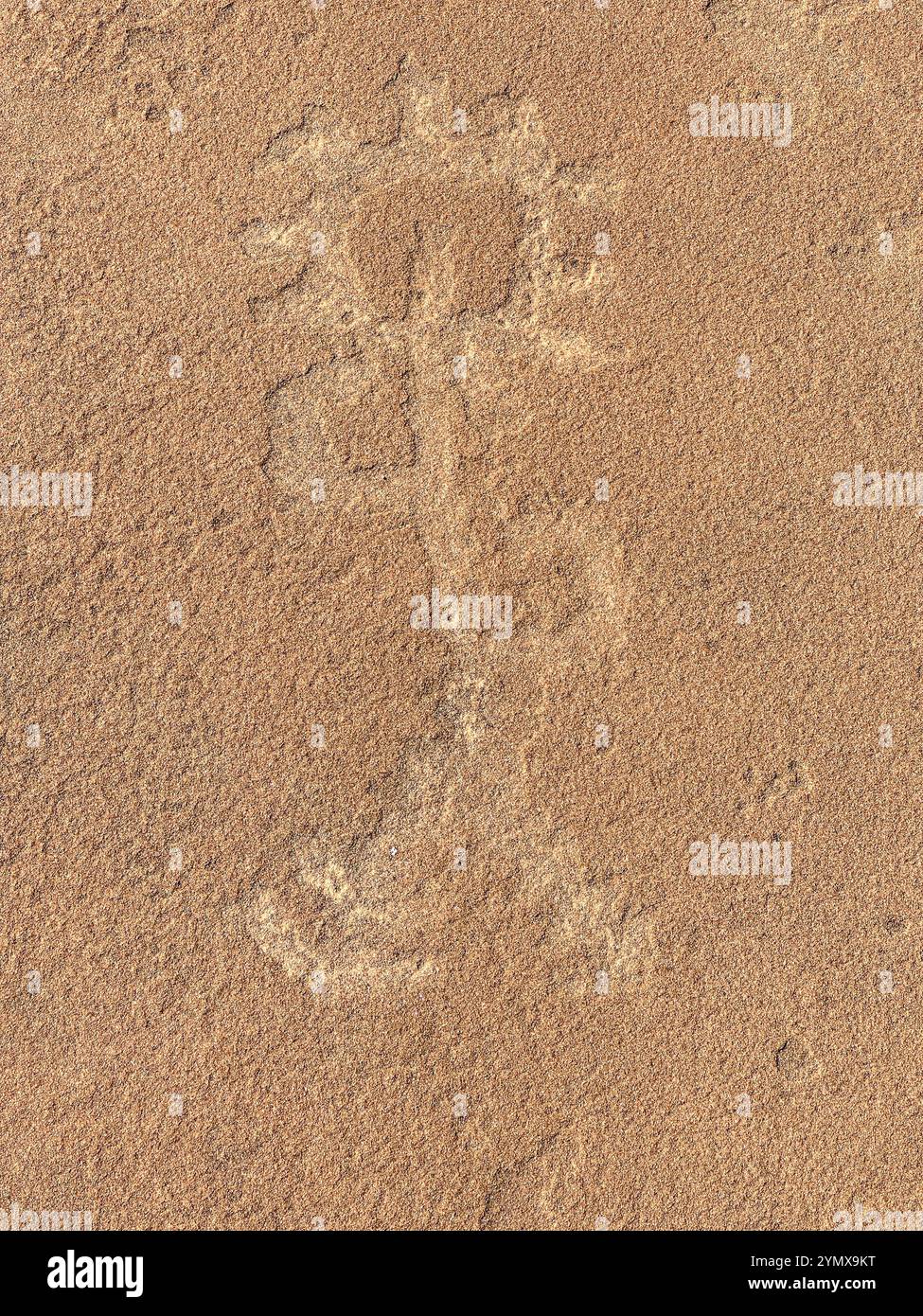 The Map at Rock Art Ranch, Winslow, Arizona, USA - Smartphone Captured Stock Image