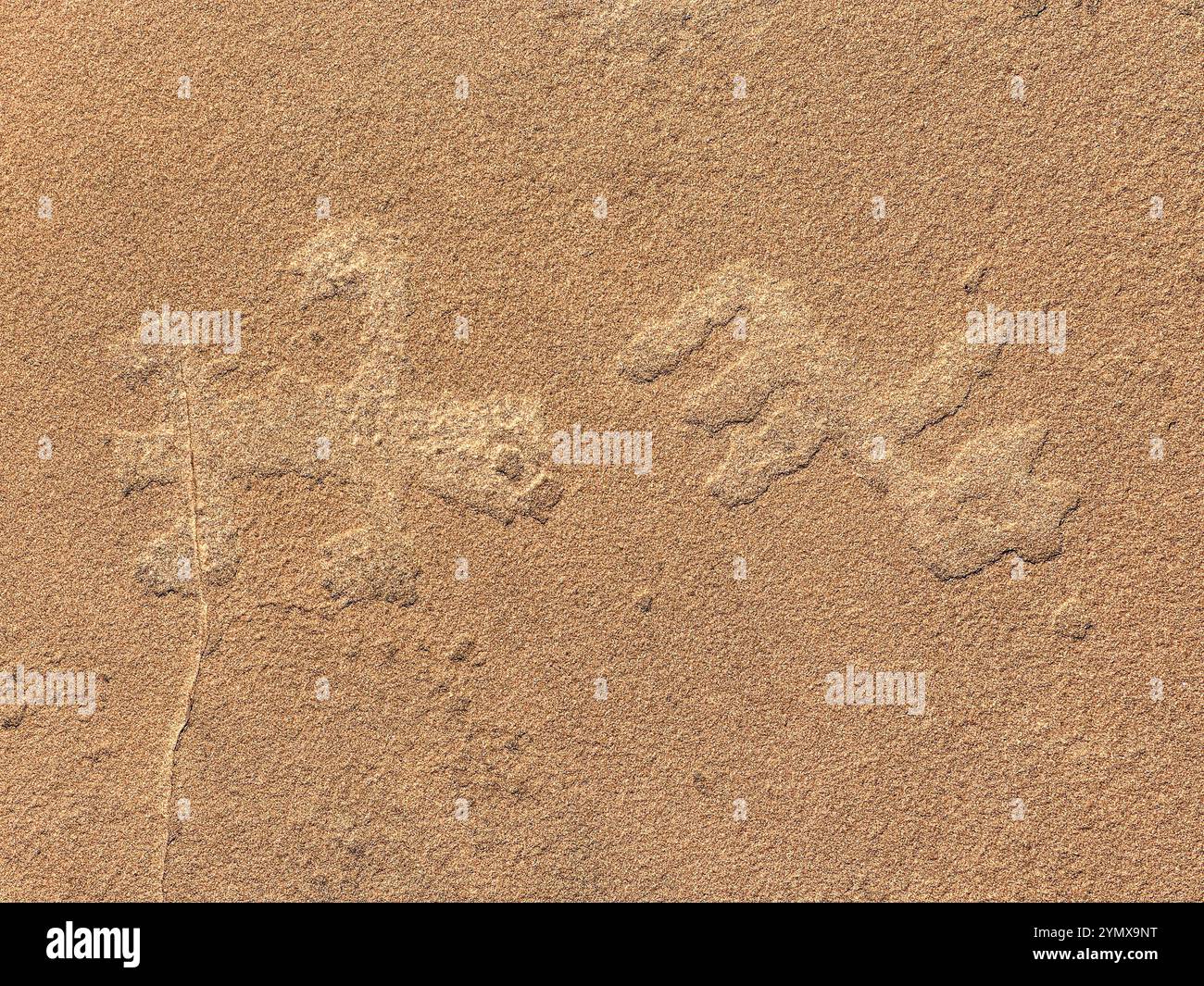 The Map at Rock Art Ranch, Winslow, Arizona, USA - Smartphone Captured Stock Image