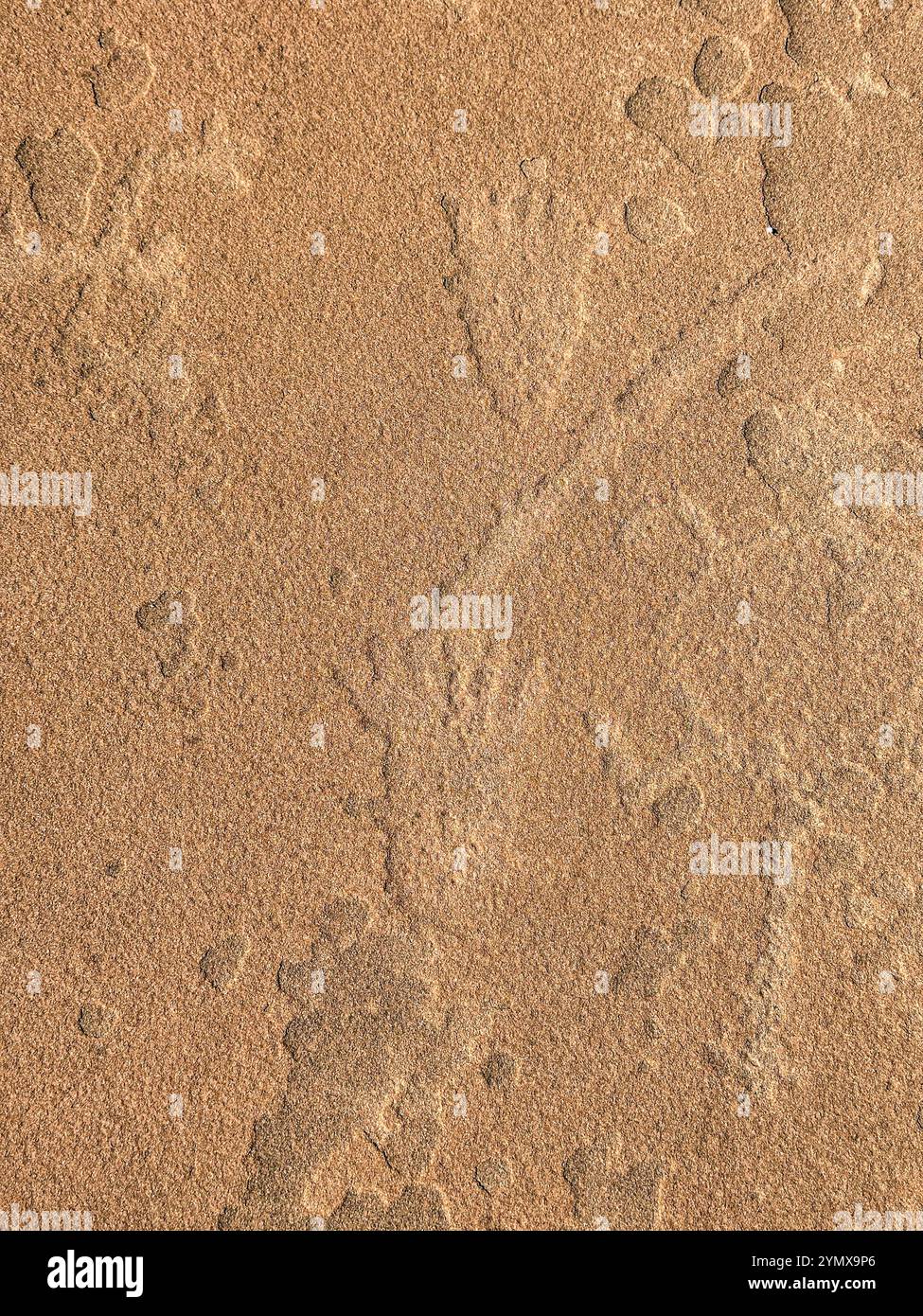 The Map at Rock Art Ranch, Winslow, Arizona, USA - Smartphone Captured Stock Image