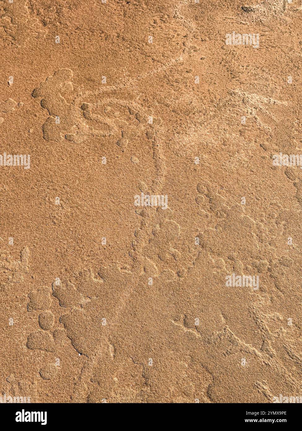 The Map at Rock Art Ranch, Winslow, Arizona, USA - Smartphone Captured Stock Image