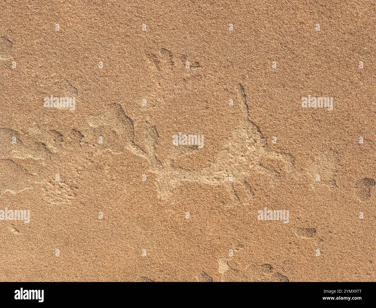 The Map at Rock Art Ranch, Winslow, Arizona, USA - Smartphone Captured Stock Image