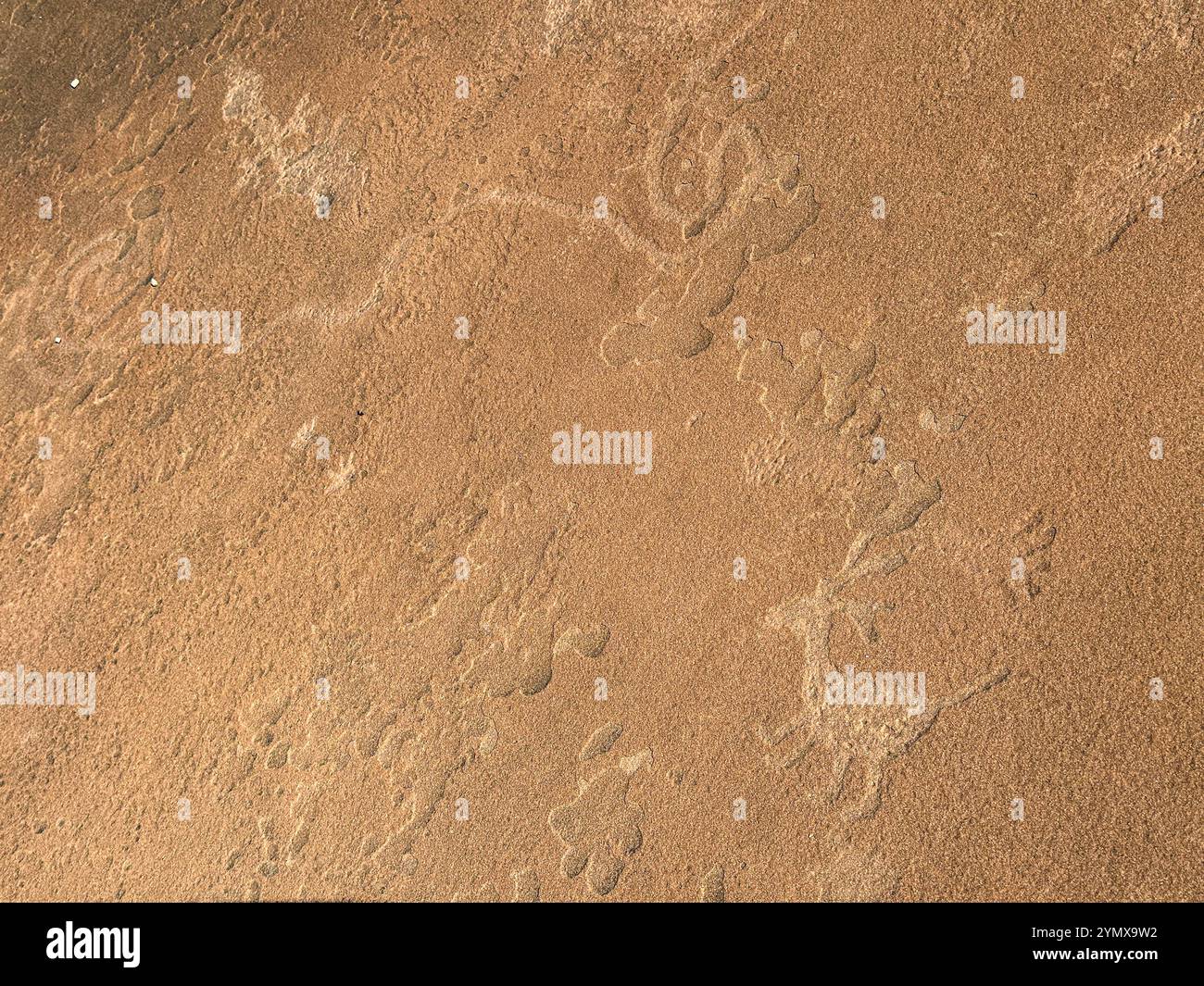 The Map at Rock Art Ranch, Winslow, Arizona, USA - Smartphone Captured Stock Image