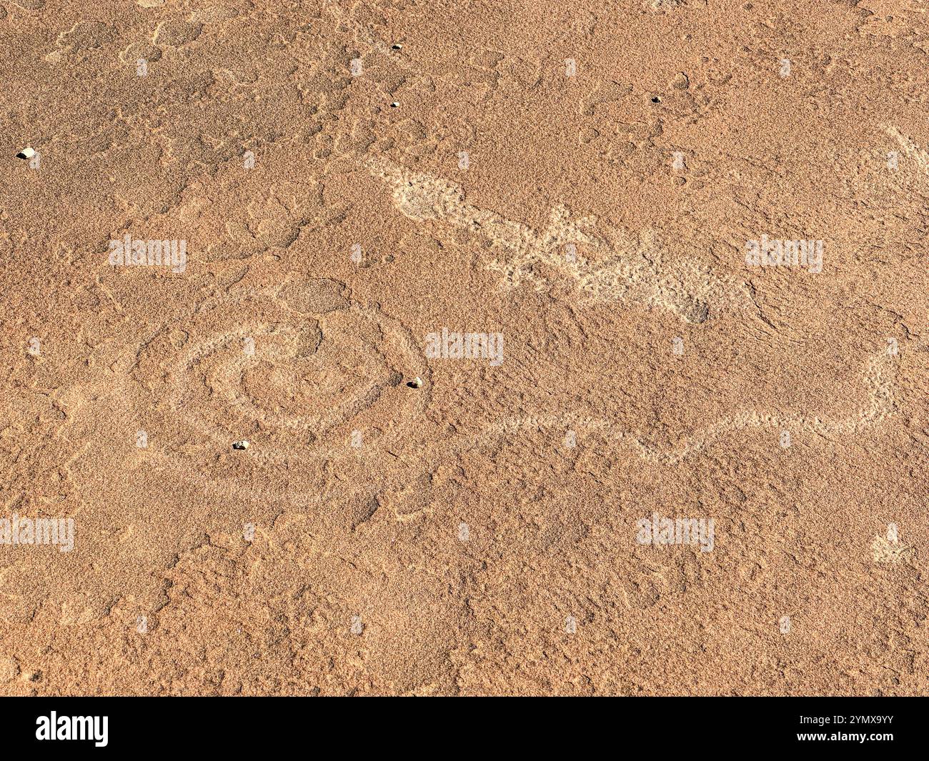 The Map at Rock Art Ranch, Winslow, Arizona, USA - Smartphone Captured Stock Image
