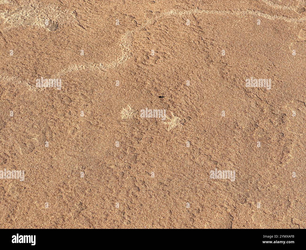 The Map at Rock Art Ranch, Winslow, Arizona, USA - Smartphone Captured Stock Image