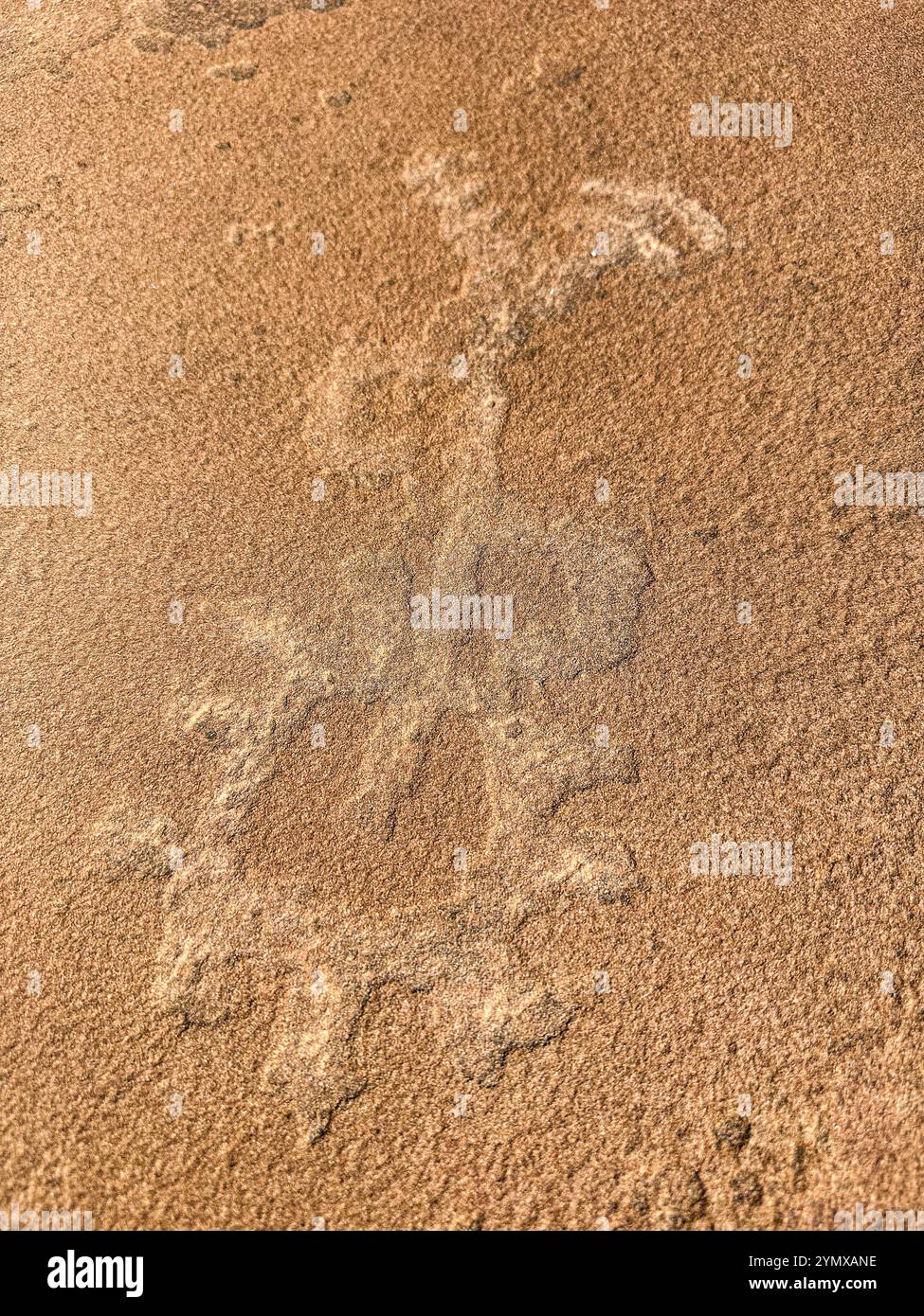 The Map at Rock Art Ranch, Winslow, Arizona, USA - Smartphone Captured Stock Image