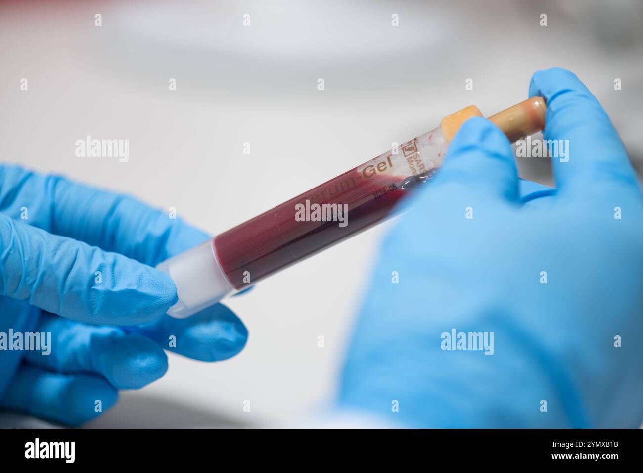 Wolfram-Blechplatte 100x100mm - 99,999% Hochrein Für Labor & Forschung