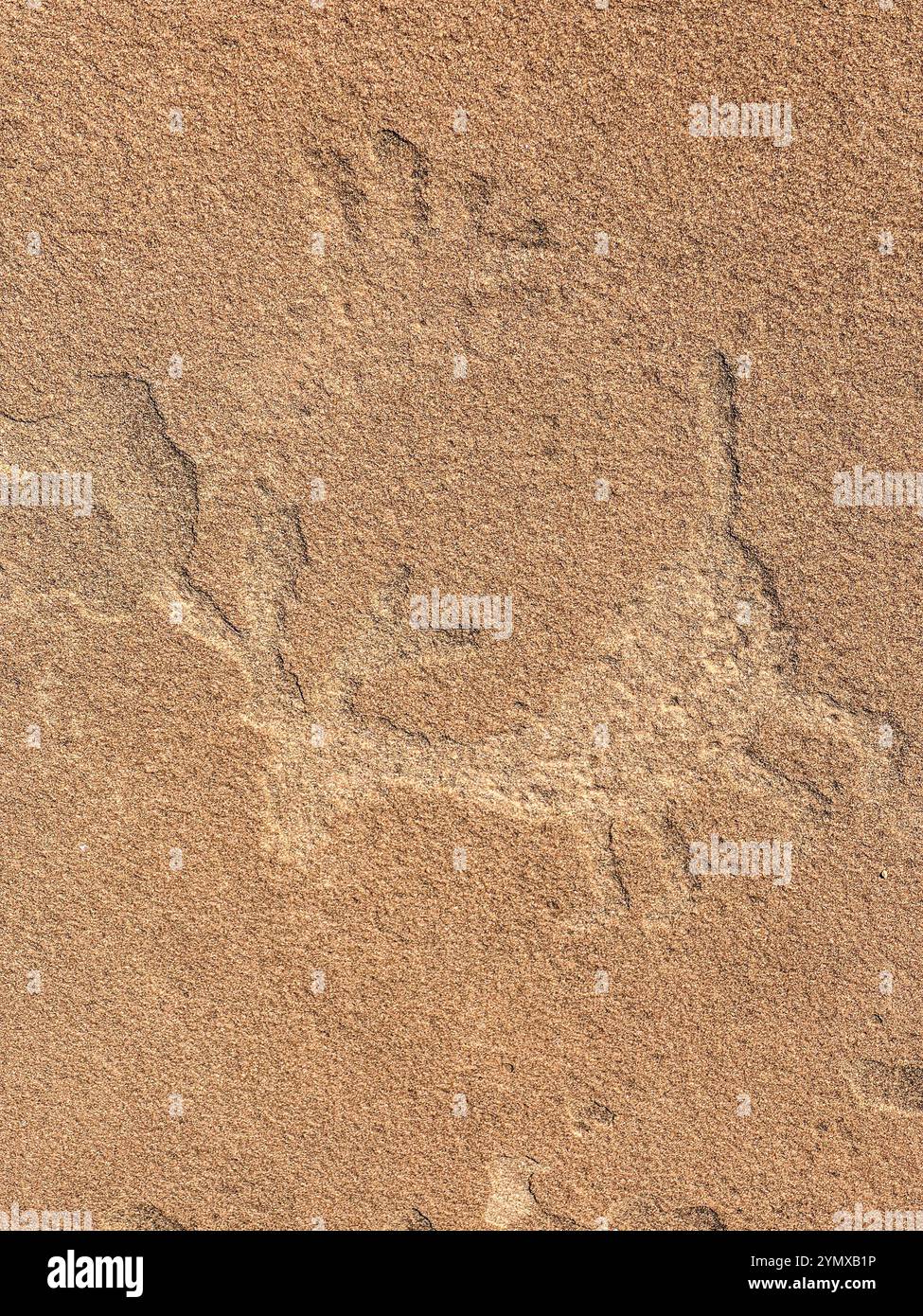 The Map at Rock Art Ranch, Winslow, Arizona, USA - Smartphone Captured Stock Image