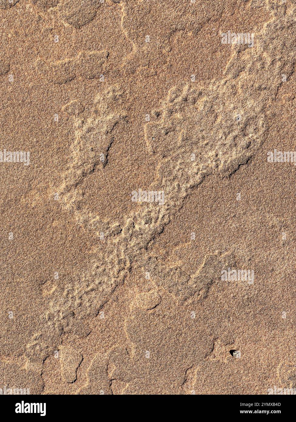 The Map at Rock Art Ranch, Winslow, Arizona, USA - Smartphone Captured Stock Image