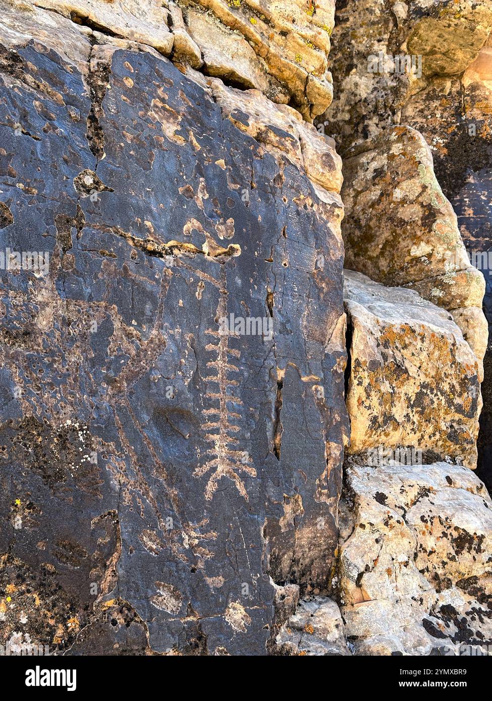 Petroglyphs at Rock Art Ranch in Winslow, Arizona, USA - Smartphone Captured Stock Image