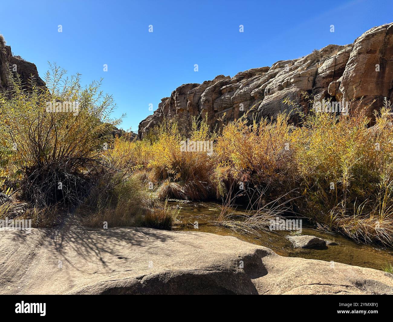 Petroglyphs at Rock Art Ranch in Winslow, Arizona, USA - Smartphone Captured Stock Image