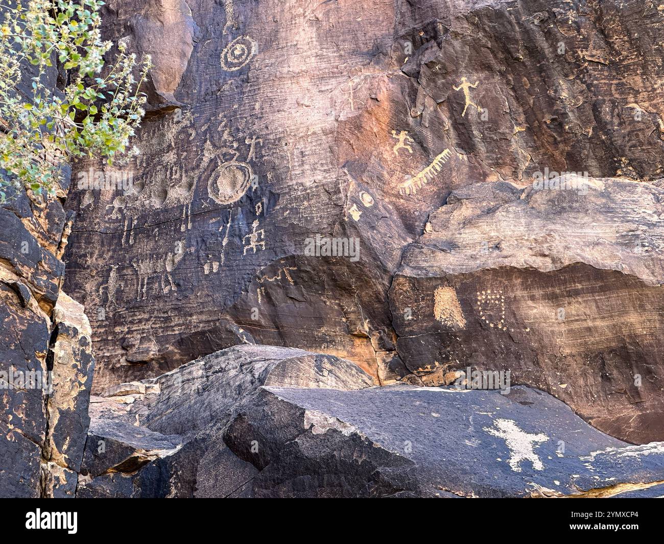 Petroglyphs at Rock Art Ranch in Winslow, Arizona, USA - Smartphone Captured Stock Image