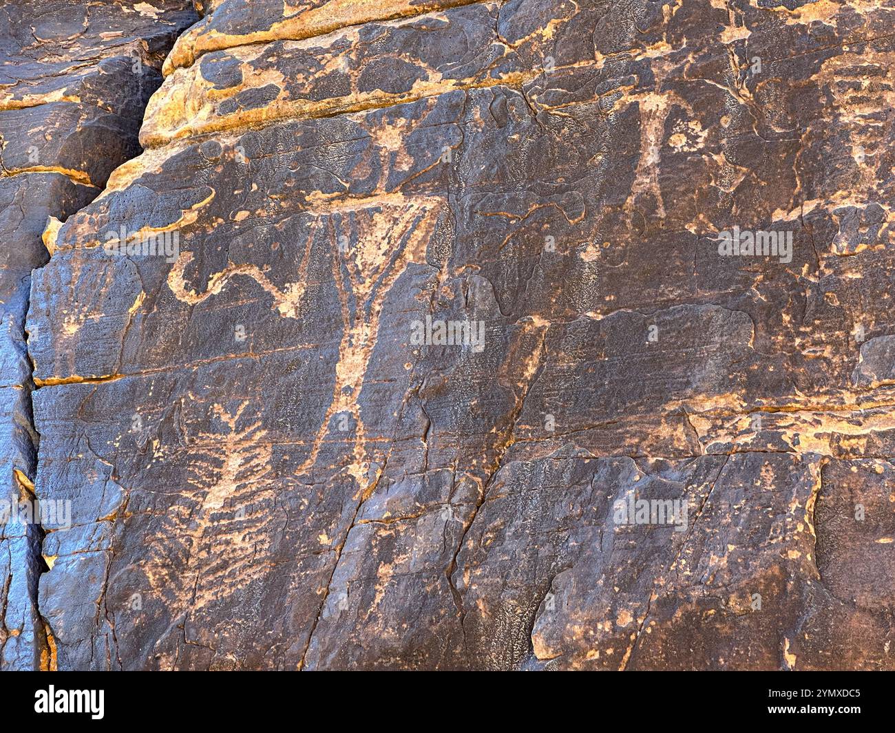 Petroglyphs at Rock Art Ranch in Winslow, Arizona, USA - Smartphone Captured Stock Image