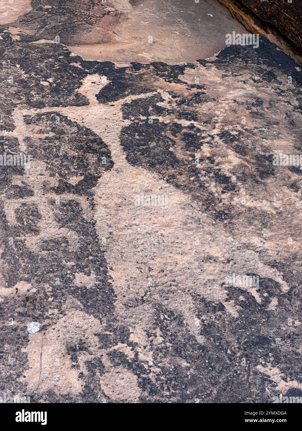 Cinderella Panel Petroglyphs at Rock Art Ranch in Winslow, Arizona, USA - Smartphone Captured Stock Image