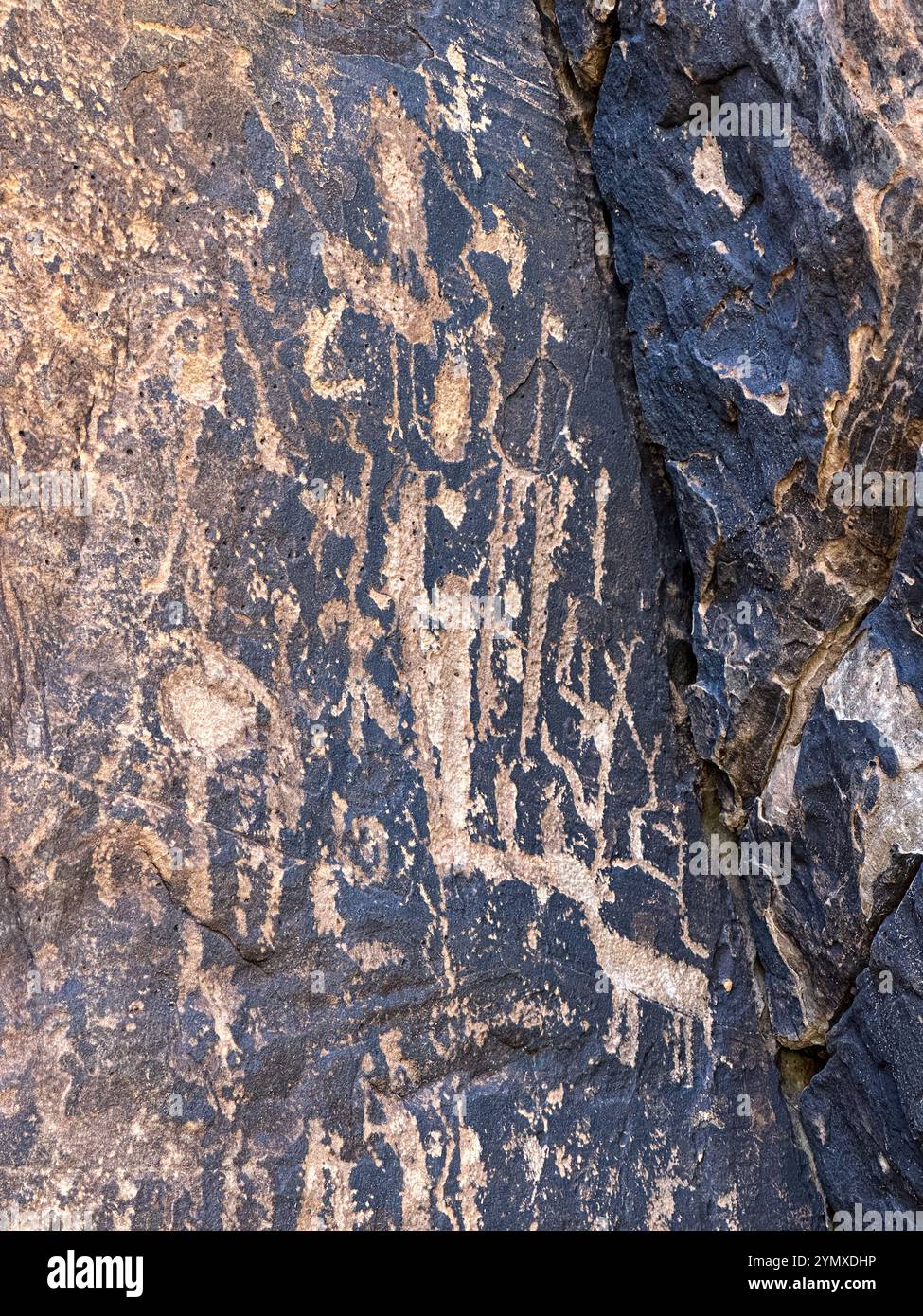 Petroglyphs at Rock Art Ranch in Winslow, Arizona, USA - Smartphone Captured Stock Image