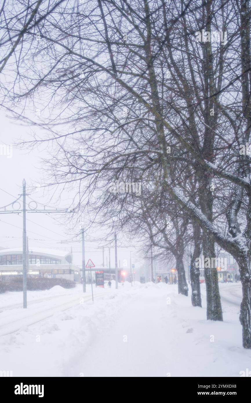 Cold climate snowstorm hi-res stock photography and images - Alamy