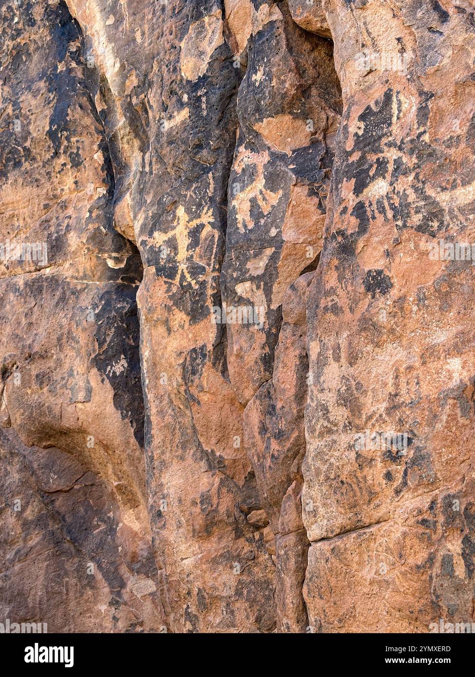 Petroglyphs at Rock Art Ranch in Winslow, Arizona, USA - Smartphone Captured Stock Image