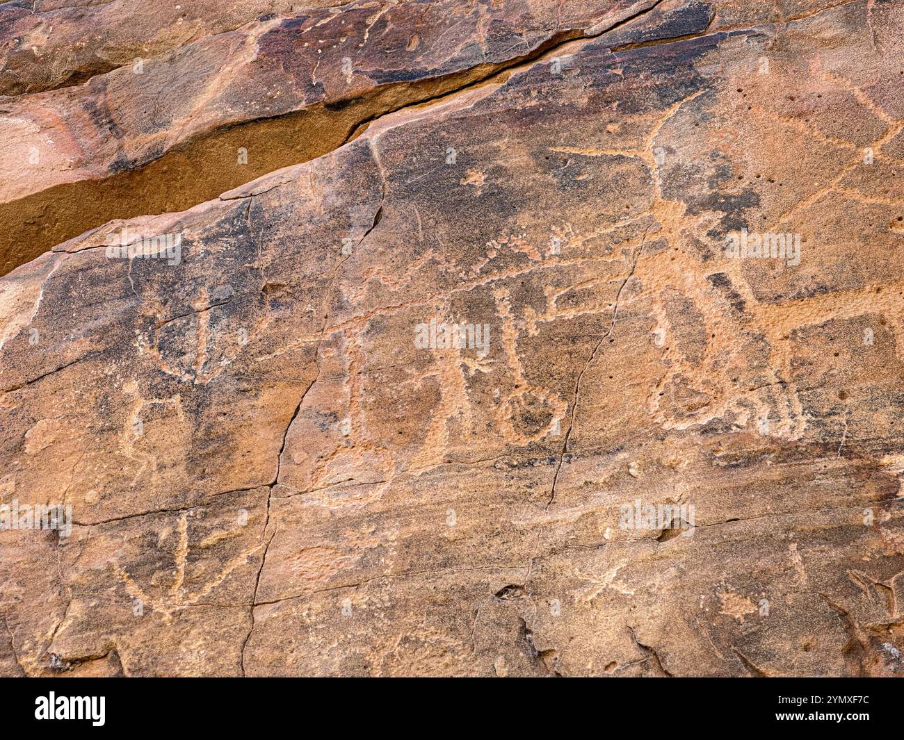 Petroglyphs at Rock Art Ranch in Winslow, Arizona, USA Stock Photo