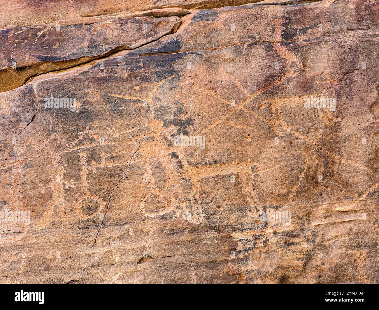 Petroglyphs at Rock Art Ranch in Winslow, Arizona, USA - Smartphone Captured Stock Image