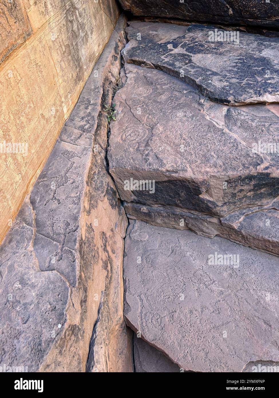 Petroglyphs at Rock Art Ranch in Winslow, Arizona, USA Stock Photo