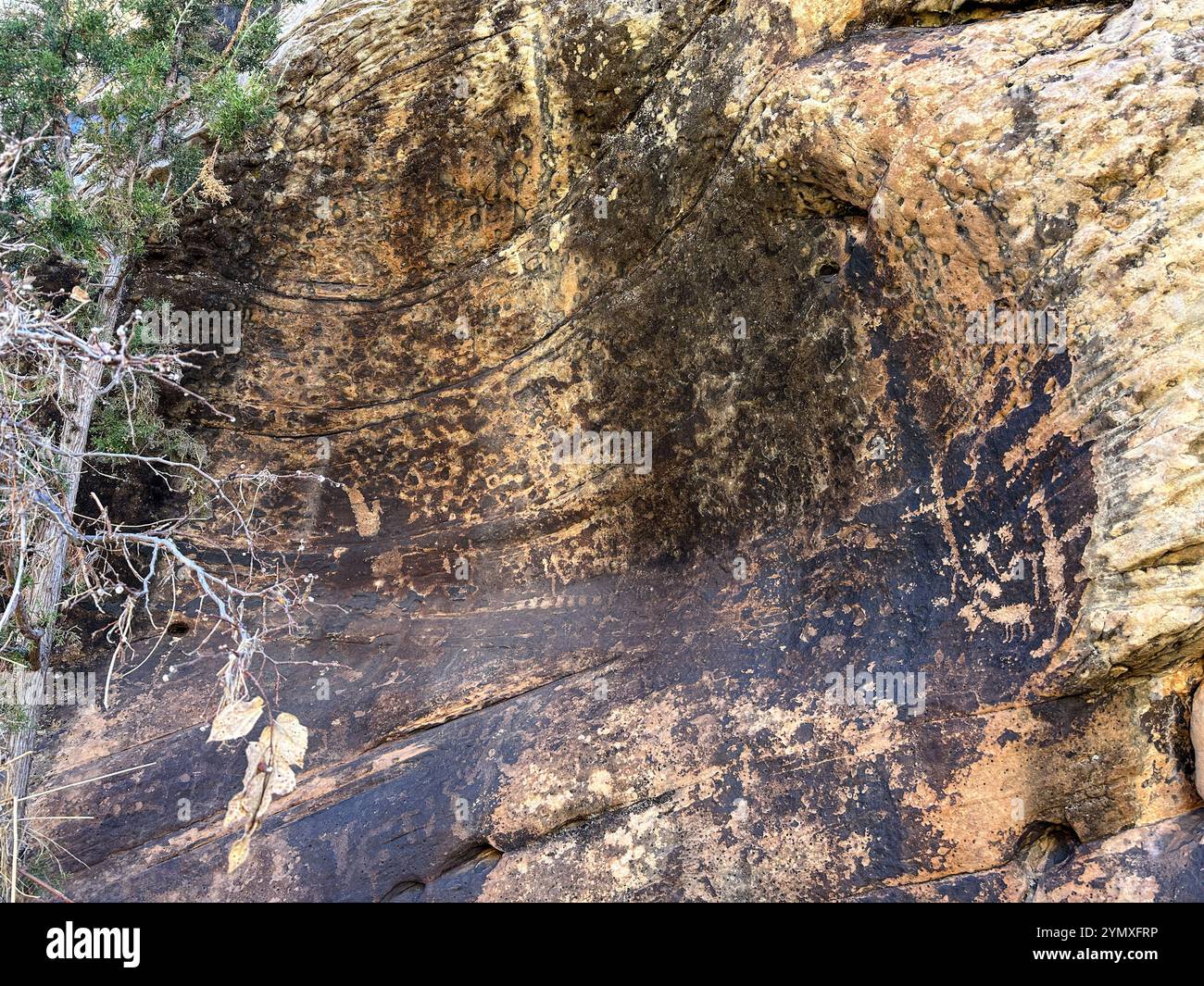 Petroglyphs at Rock Art Ranch in Winslow, Arizona, USA - Smartphone Captured Stock Image