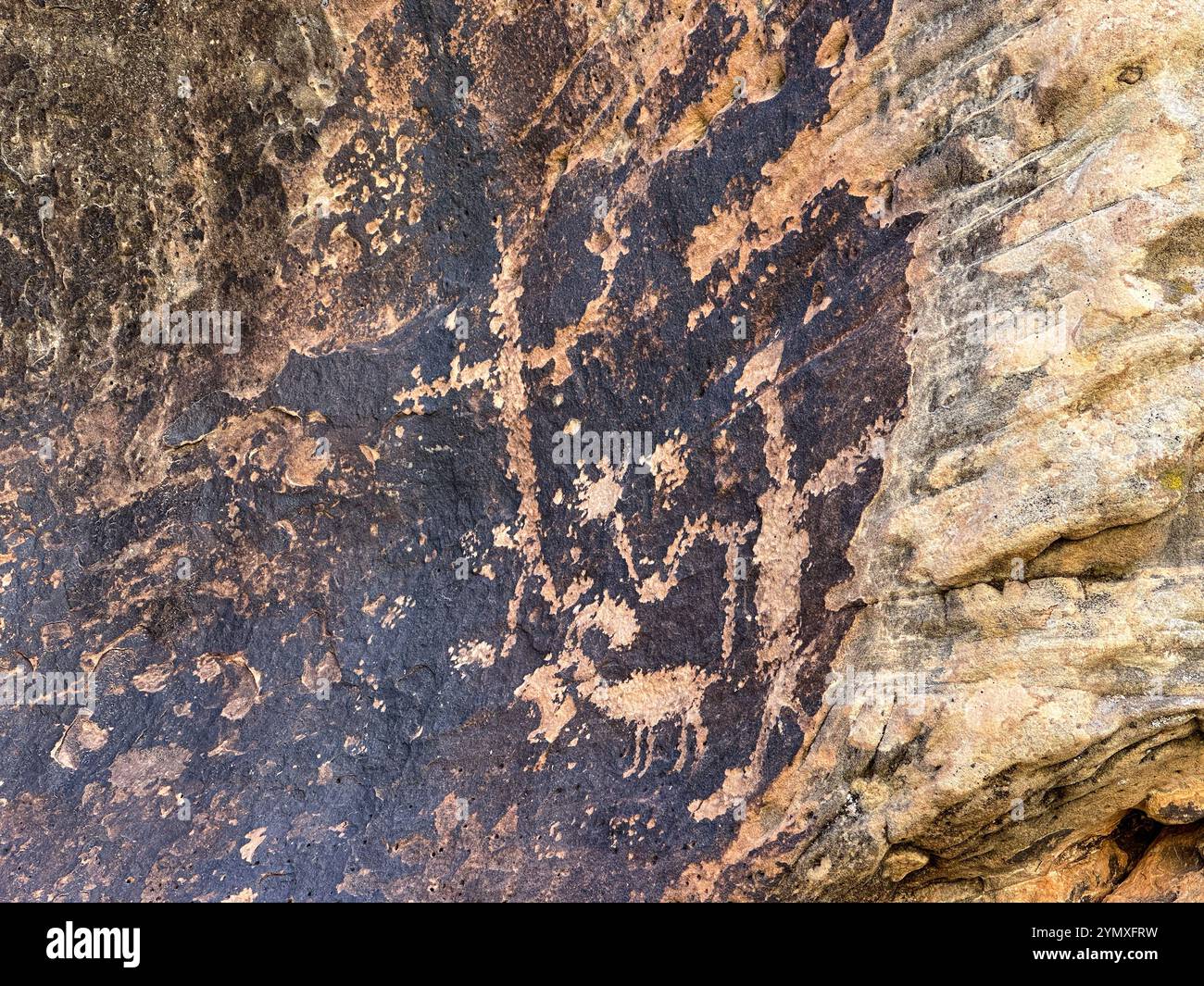Petroglyphs at Rock Art Ranch in Winslow, Arizona, USA - Smartphone Captured Stock Image