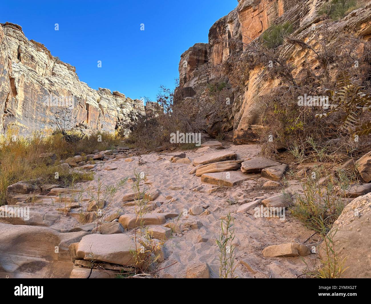 Petroglyphs at Rock Art Ranch in Winslow, Arizona, USA - Smartphone Captured Stock Image