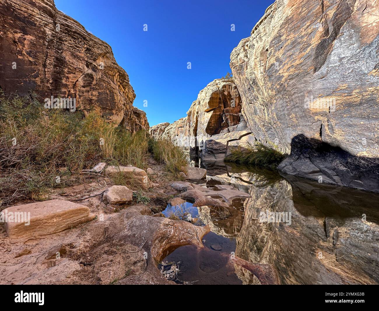Petroglyphs at Rock Art Ranch in Winslow, Arizona, USA - Smartphone Captured Stock Image