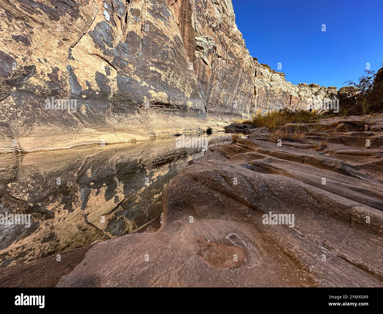 Petroglyphs at Rock Art Ranch in Winslow, Arizona, USA - Smartphone Captured Stock Image