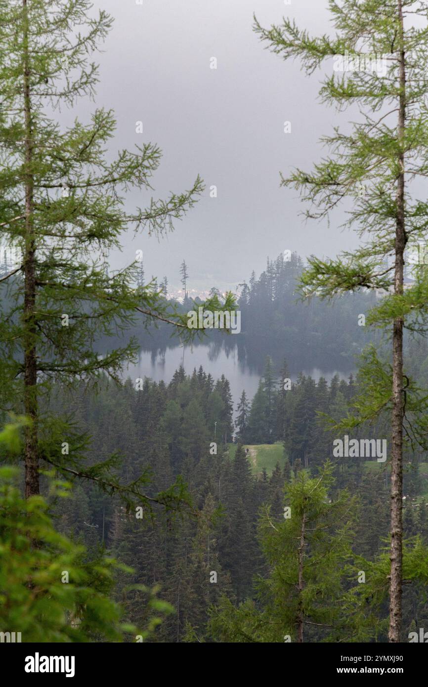 Reflective forest lake surrounded hi-res stock photography and images ...