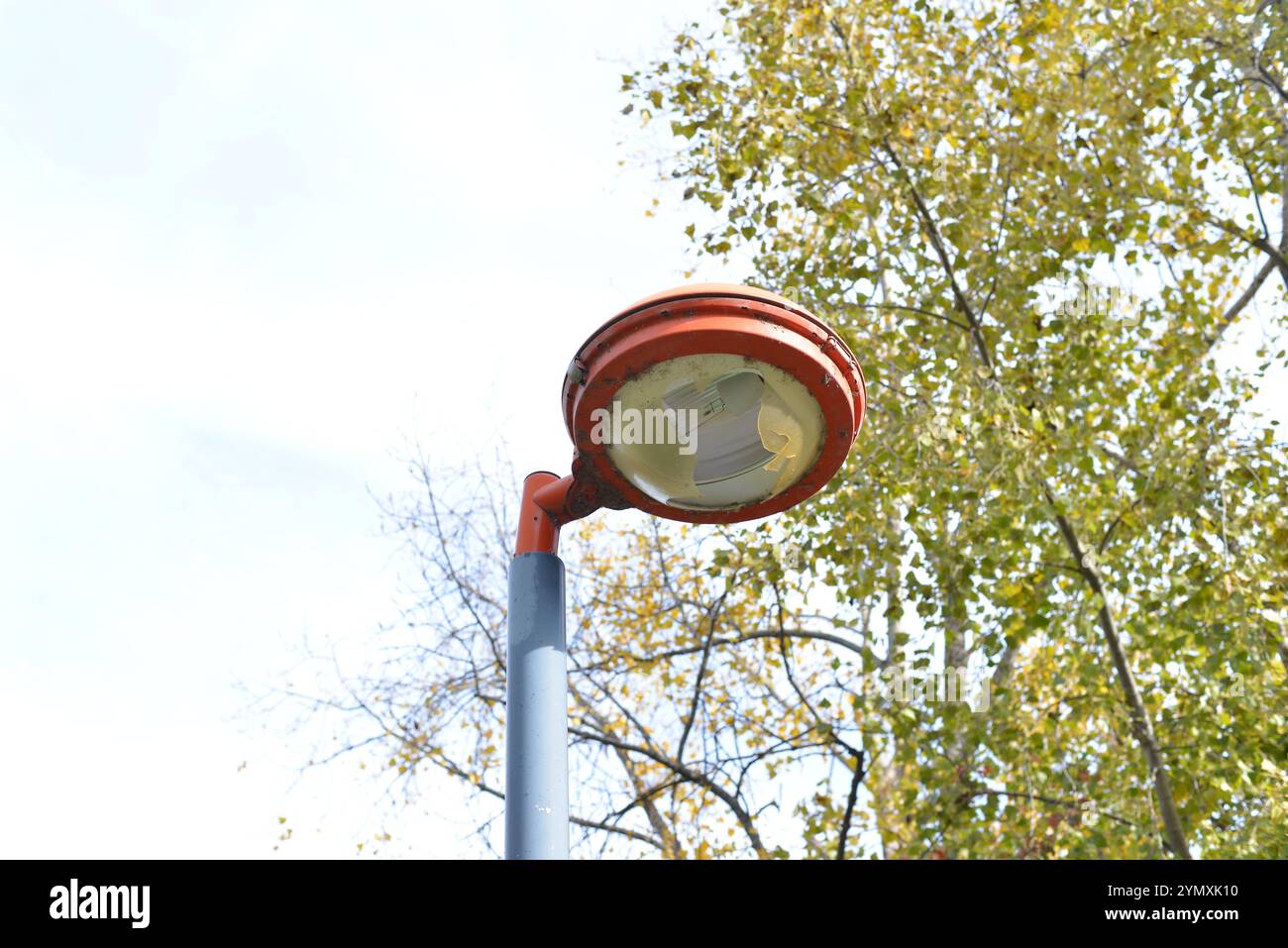 A public lighting lighthouse in an urban space surrounded by trees with green and yellow foliage, giving a peaceful and natural appearance. Stock Photo