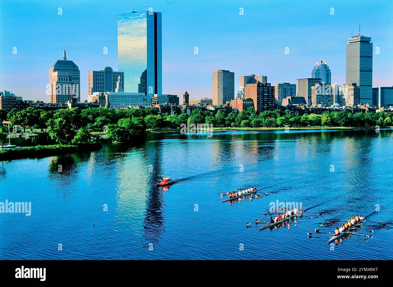 Rowing charles river hi-res stock photography and images - Alamy