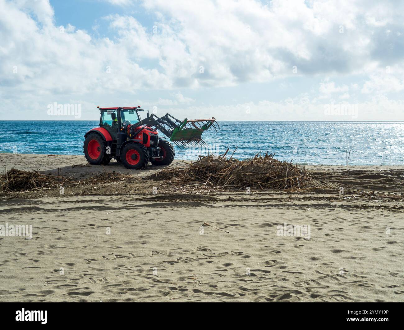 Machine collecting the reeds and branches of trees piled up on the ...