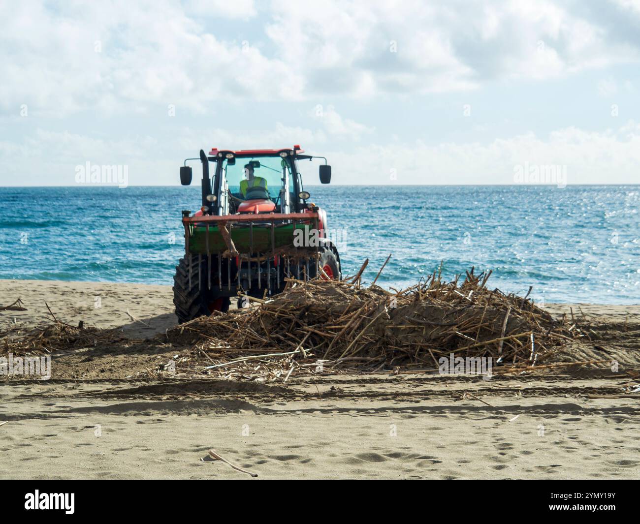 Machine collecting the reeds and branches of trees piled up on the ...