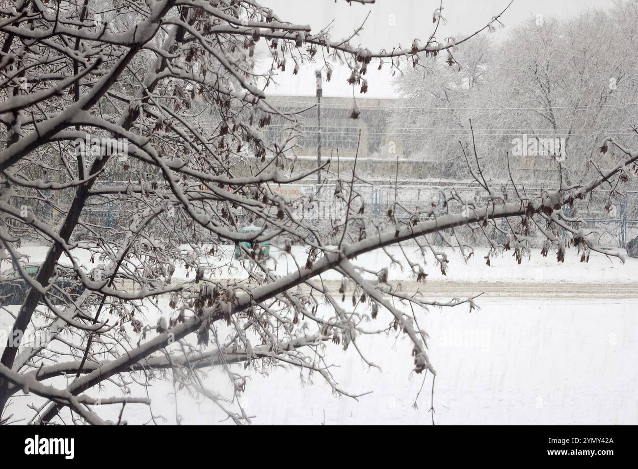 First time in snow hires stock photography and images Alamy