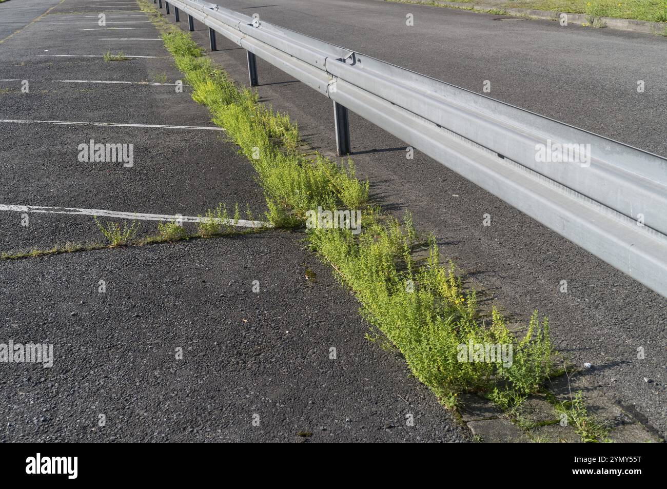 No guard rails hi-res stock photography and images - Alamy