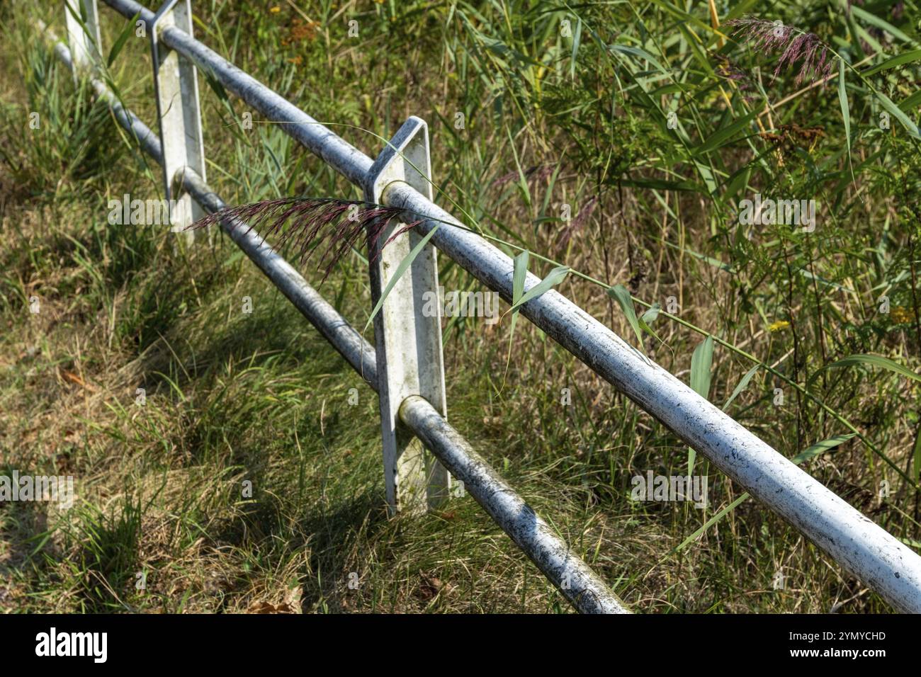 Canal Railing White railing on a canal Stock Photo - Alamy