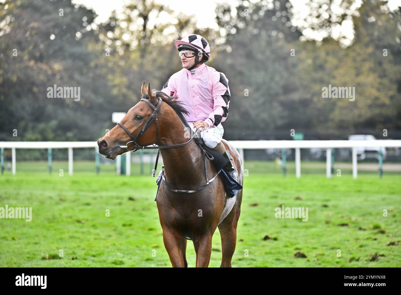 Shane foley jockey hi-res stock photography and images - Alamy