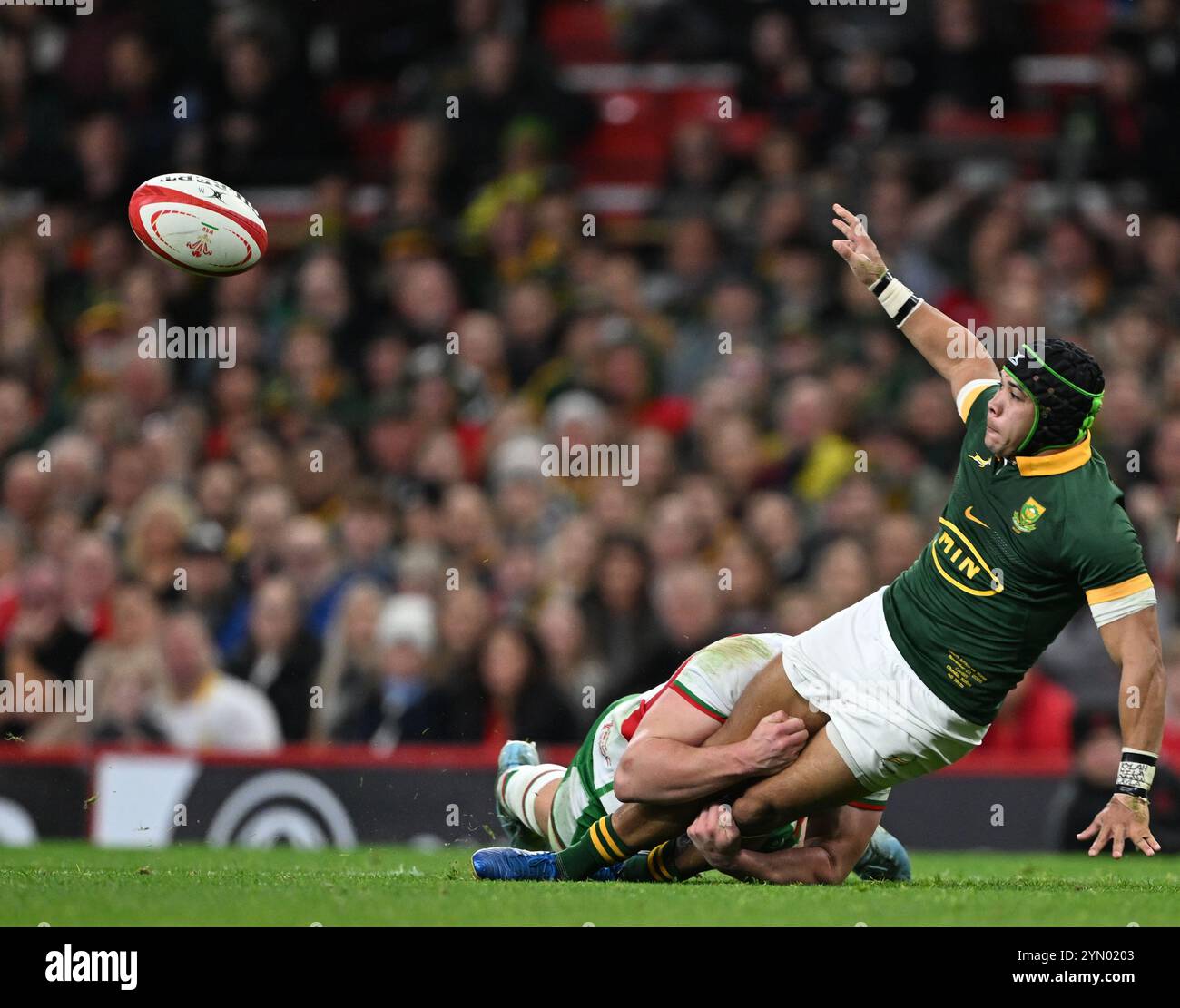 23rd November 2024; Principality Stadium, Cardiff, Wales: Autumn Rugby ...