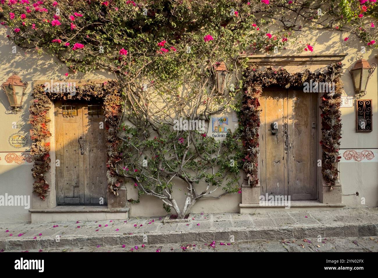 Callejón Del Pueblito, San Miguel de Allende, Mexico. Stock Photo